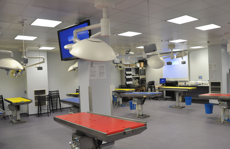 Clinical Anatomy Suite