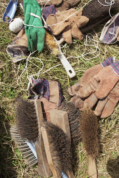 Gloves and brushes for fieldwork