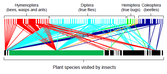 An example of a plant-pollinator food web for an urban habitat in Bristol (reproduced from Lopezaraiza-Mikel et al. 2007)