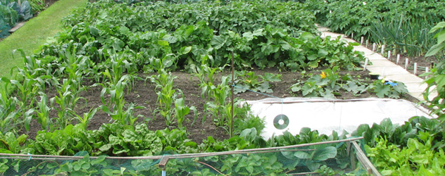 Allotments