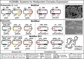 Multiexpression Technologies Page 1