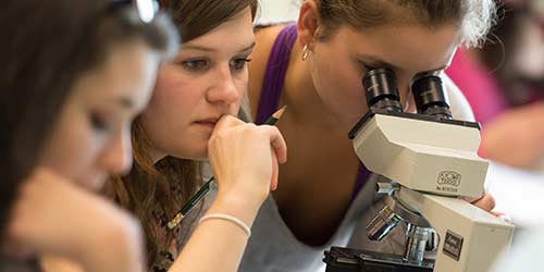 Students using a microscope.