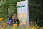 Two students looking at a University of Bristol map and signpost, with a wild flower meadow in the foreground.