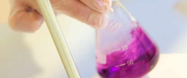 Part of a gloved hand shaking a beaker containing a purple solution