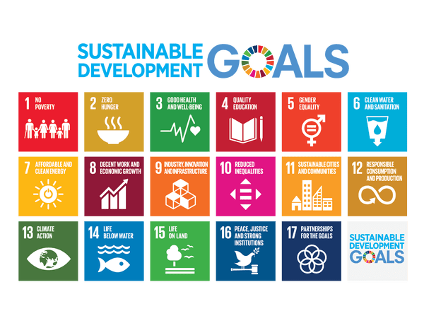 Emblems of the 17 UN Sustainable Development Goals