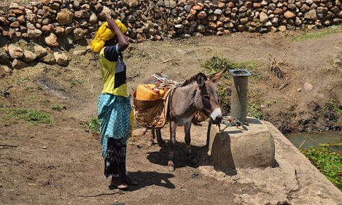 Man with donkey collecting water from a standpipe, Ethiopia