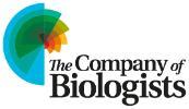 The Company of Biologists logo