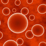 Magnified red blood cells floating in a blood vessel