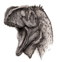Artist's impression of the Kryptops dinosaur copyright Todd Marshall, courtesy of Project Exploration