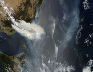 Smoke plumes from fires in Southeast Australia captured by satellite on January 11, 2007.