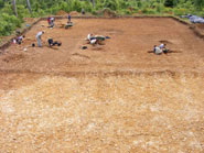 Excavations on the site, 2008