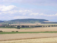 The princely hillfort of Tincry from the south