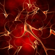 Image of a neuron