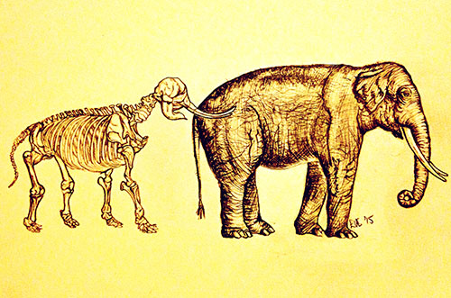 Image showing an elephant