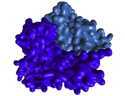 Image of an x-ray crystallography image of a protein-protein interaction