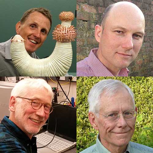 Image of (clockwise from top left): Professor Philip Donoghue FRS, Professor Jens Marklof FRS, Professor Alan Roberts, FRS, Professor John Rarity, FRS    
