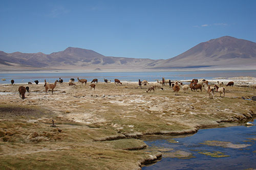 Image of the Andes