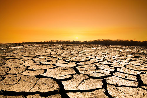 Image of parched ground