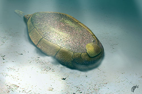 Image showing reconstruction of Protocinctus mansillaensis in life position