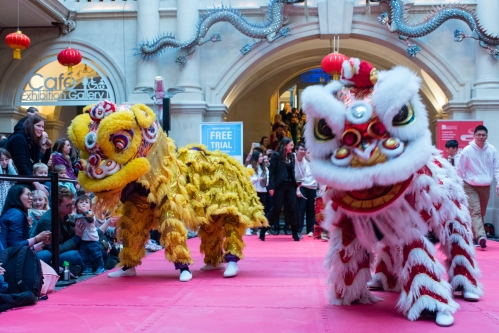 new year 2018 bristol february lunar new year at the museum news new year 2018 bristol february lunar new year at the museum news