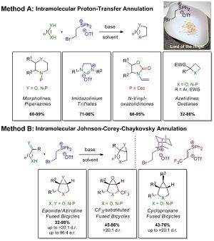 Phd. thesis on heterocyclic chemistry