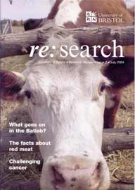 cover image of re:search issue 7