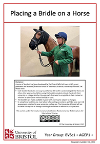 Clinical skills booklet cover Placing a Bridle on a Horse