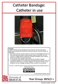 Clinical skills instruction booklet cover page, catheter in