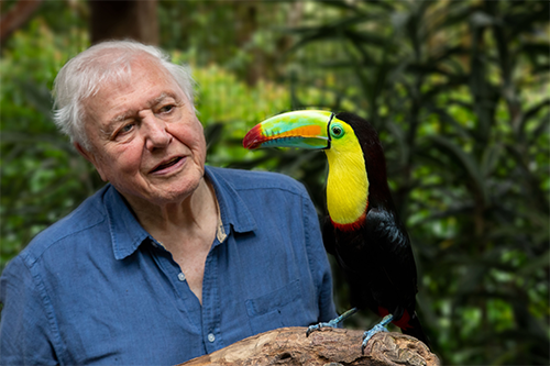 Sir David Attenborough with toucan in Costa Rica