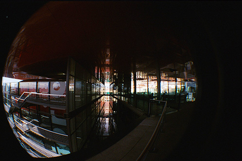 'Between 2 mirrors' by Willow Murphy