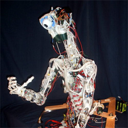 The robot CRONOS
