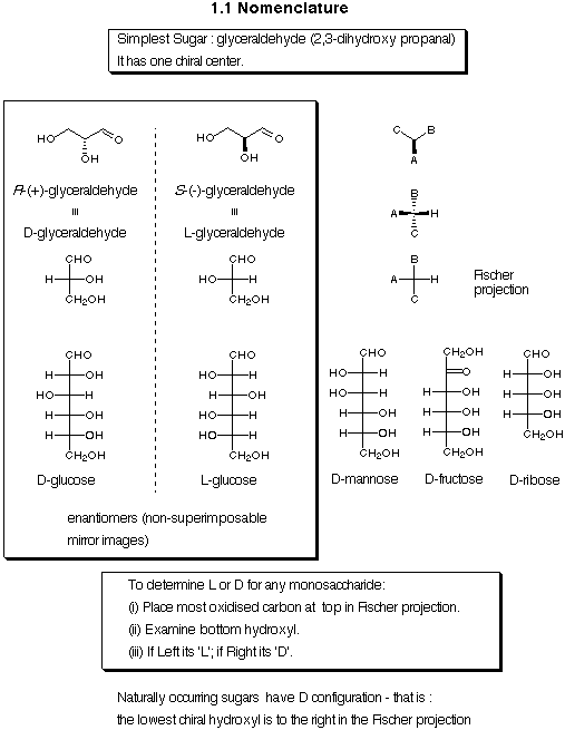 Nomenclature