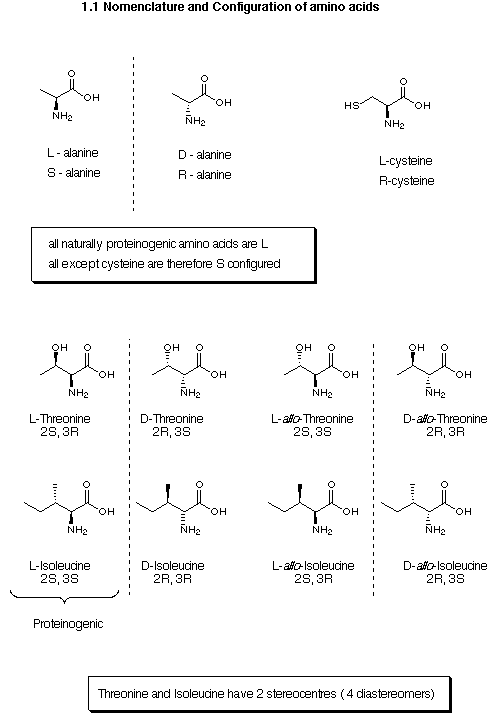Nomenclature