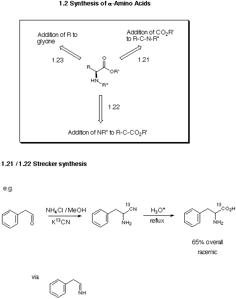 Amino acid synthesis