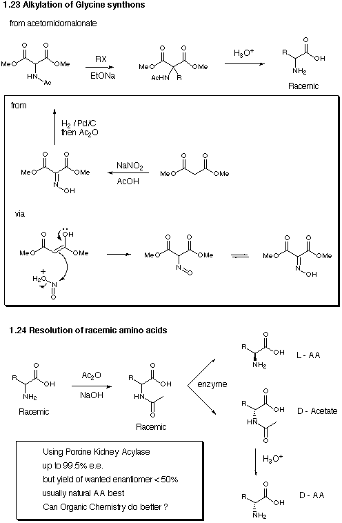 Alkylation of Glycine Synthons