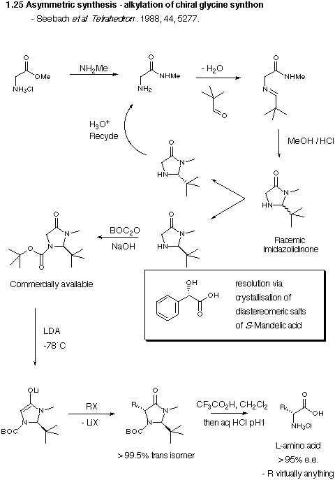Amino Acid Synthesis