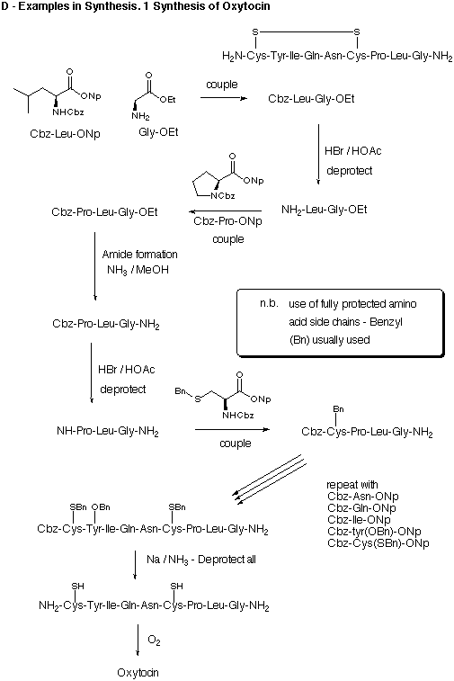 Oxytocin Synthesis