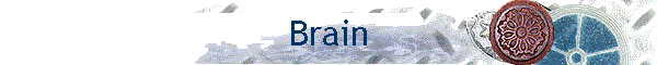 Brain