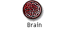 Brain