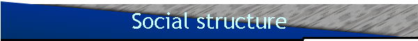 Social structure