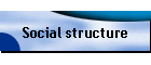 Social structure