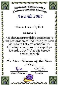 Award certificate