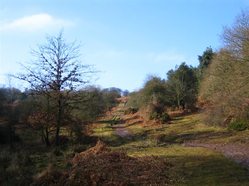 Top of Rams Combe