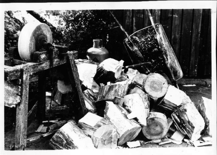 photograph of a log pile