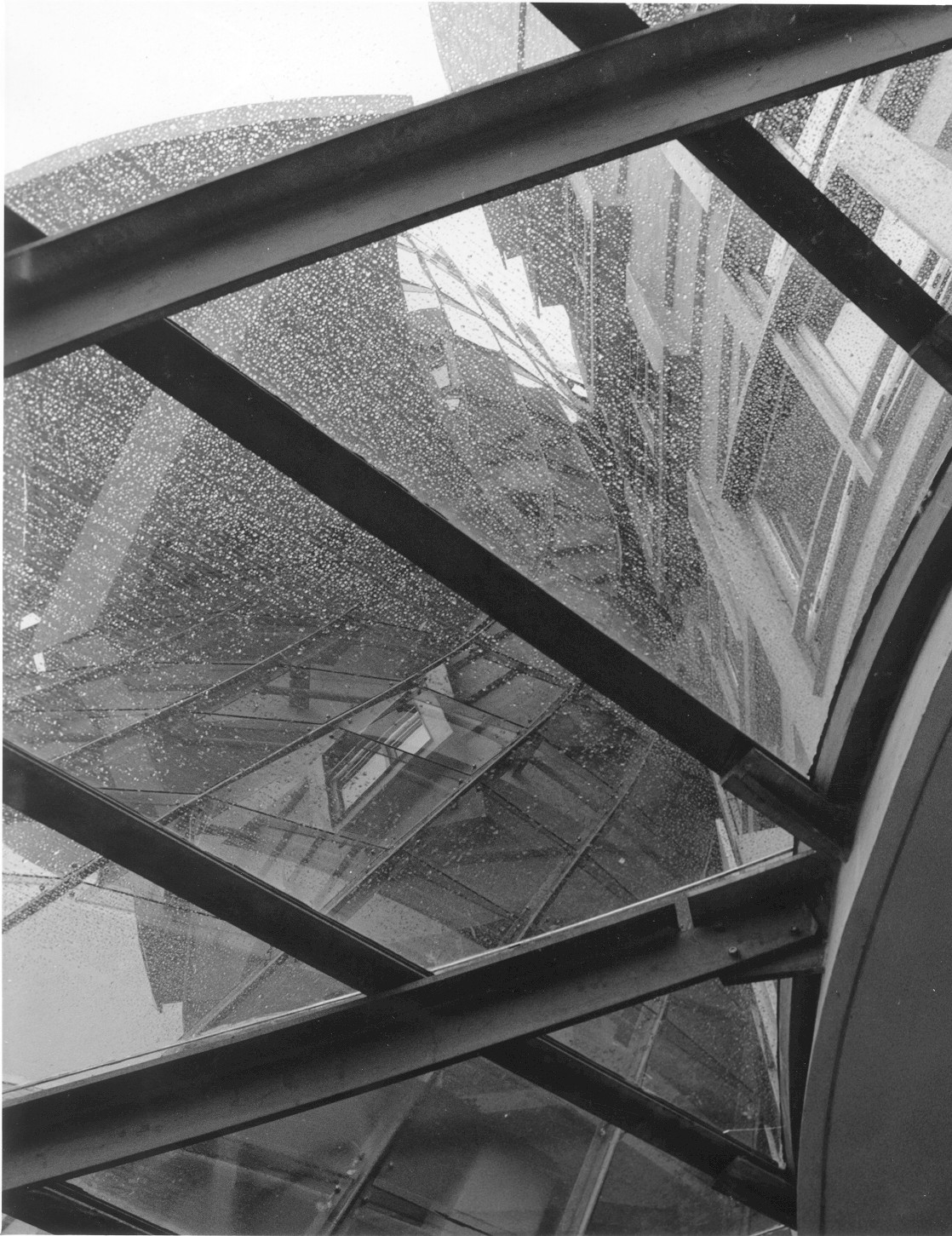 photograph of rain dancing on a skylight