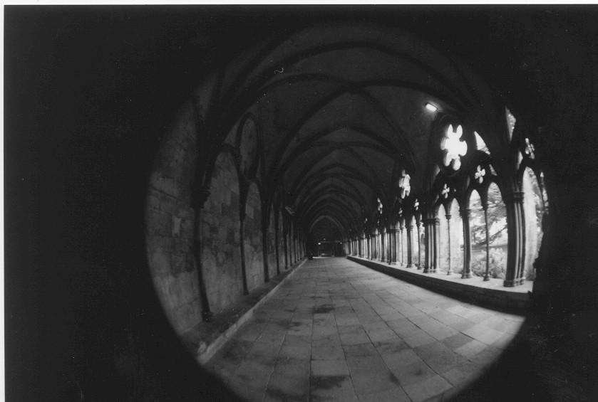 two fish-eye photgraphs of church cloisters