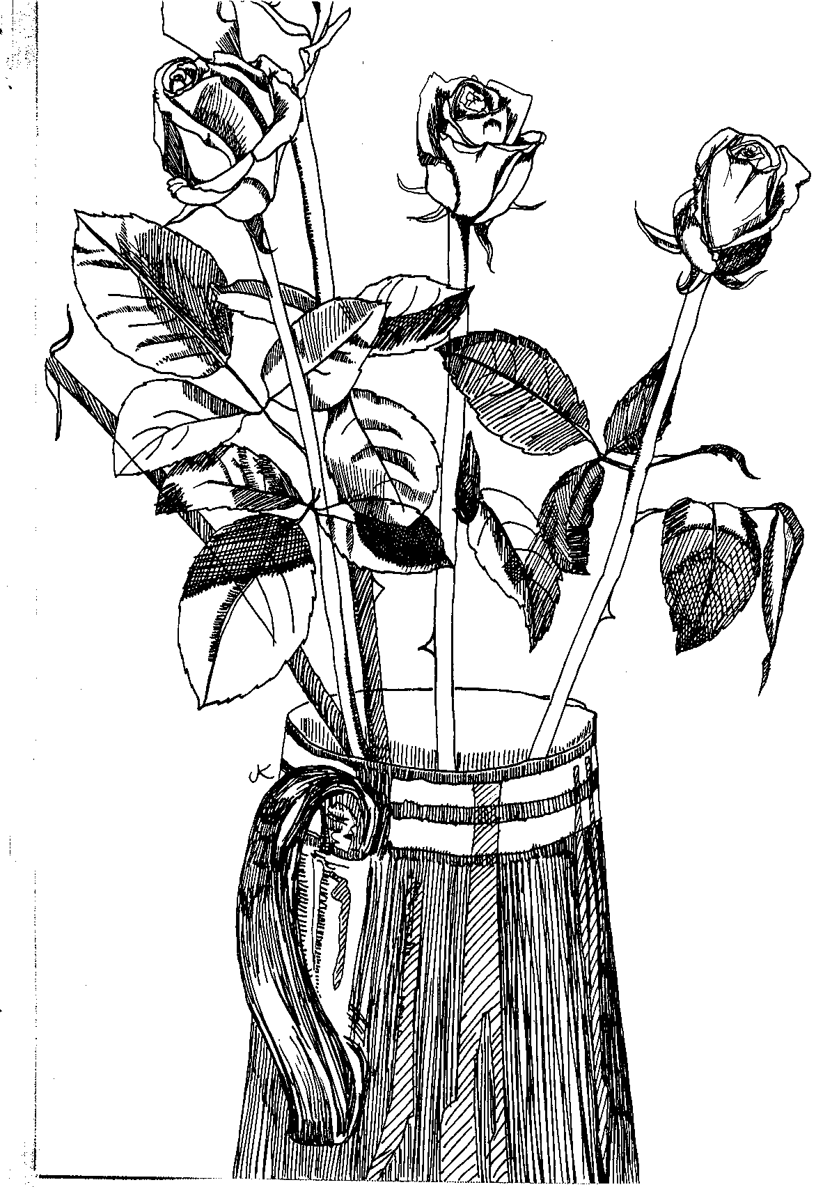 a pen and ink drawing of Roses in a jug
