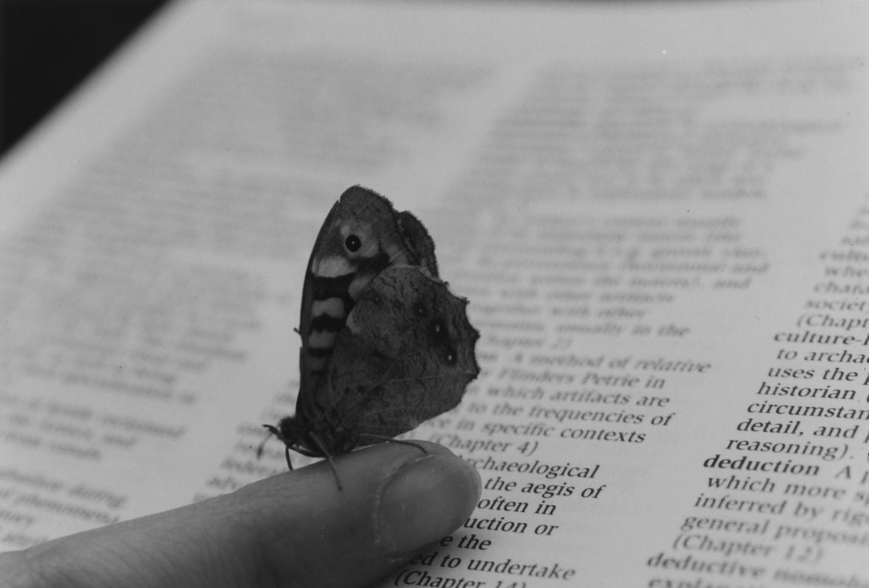 A Photograph of a butterfly on a finger with a text background: Anna Simandraki