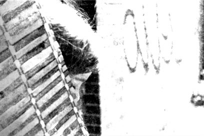 Photograph: face obscured by a blind