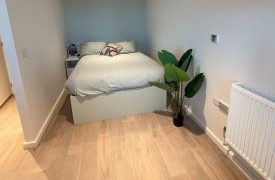 A bed against a wall. There is a green plant on the floor at the end of the bed.
